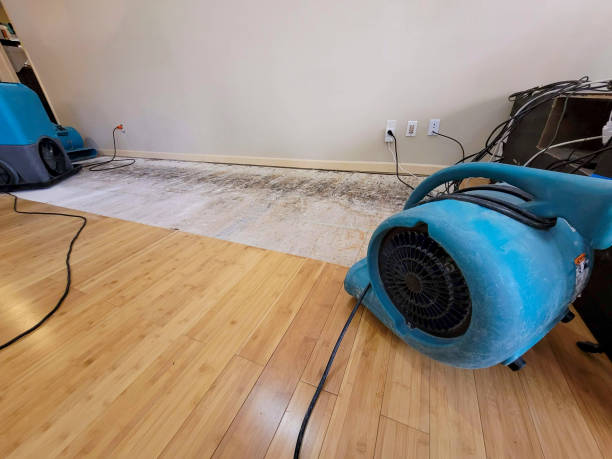 Professional Ceiling Water Damage Repair technician working in Georgetown, CA